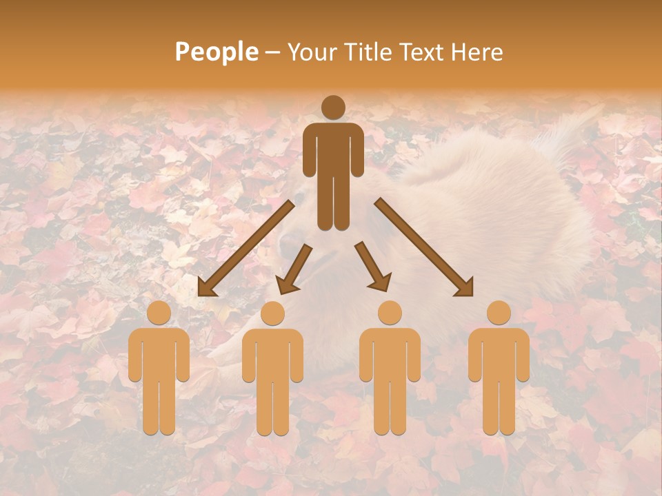 Dog In Colorful Leaves PowerPoint Template