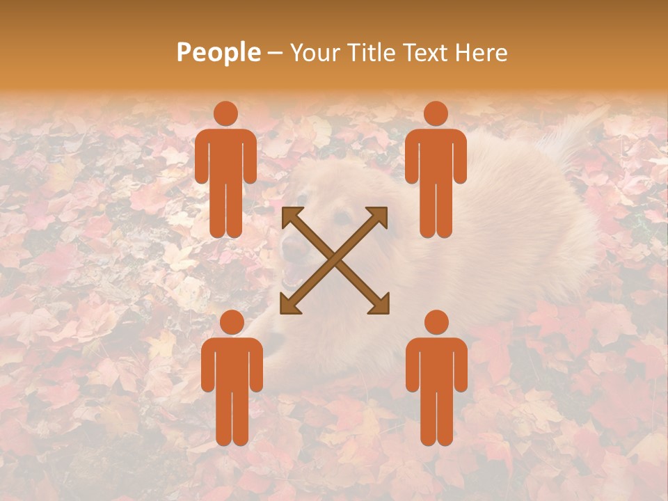 Dog In Colorful Leaves PowerPoint Template