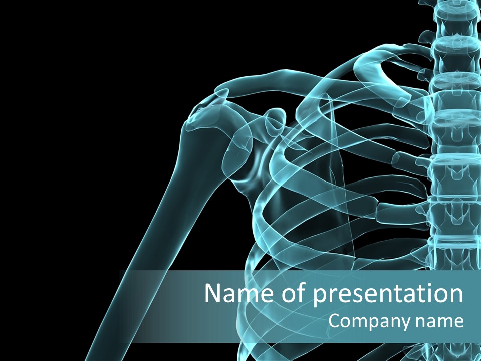 3D Shoulder PowerPoint Template