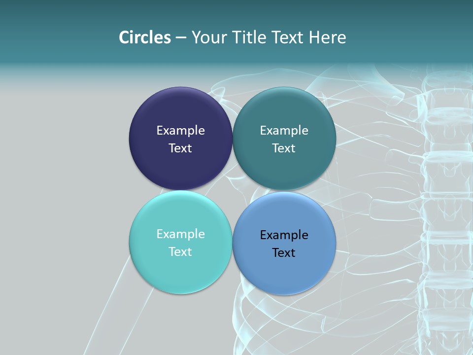 3D Shoulder PowerPoint Template