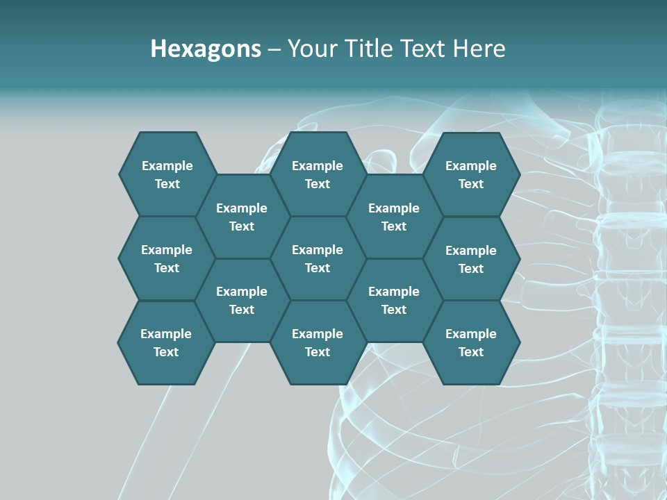 3D Shoulder PowerPoint Template