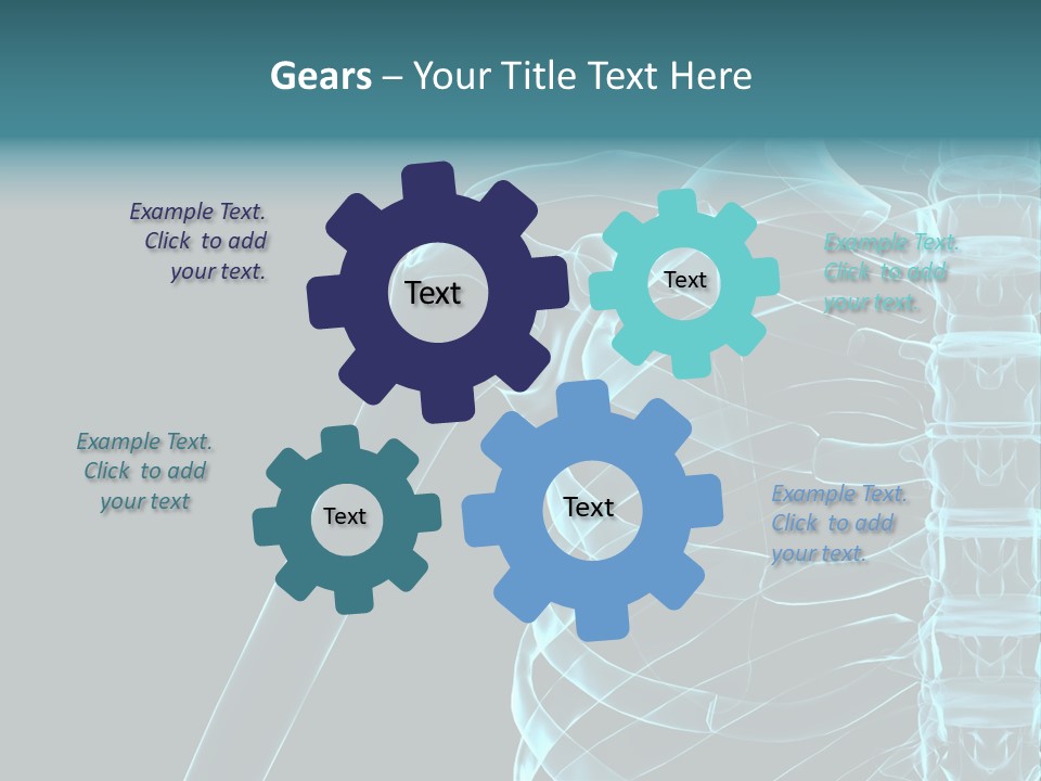 3D Shoulder PowerPoint Template