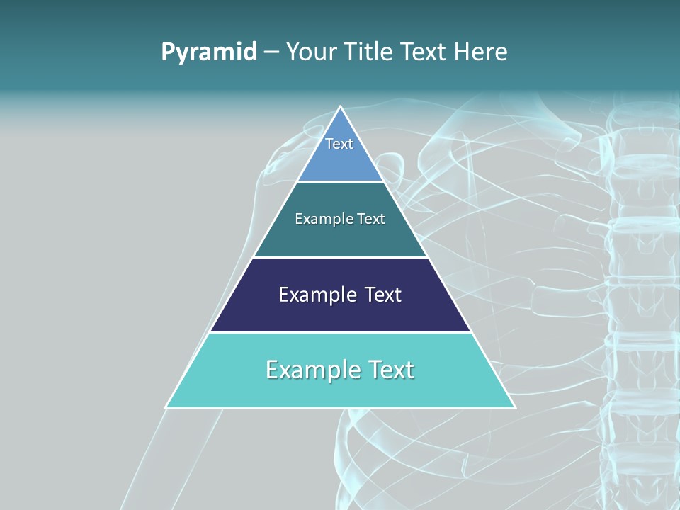 3D Shoulder PowerPoint Template