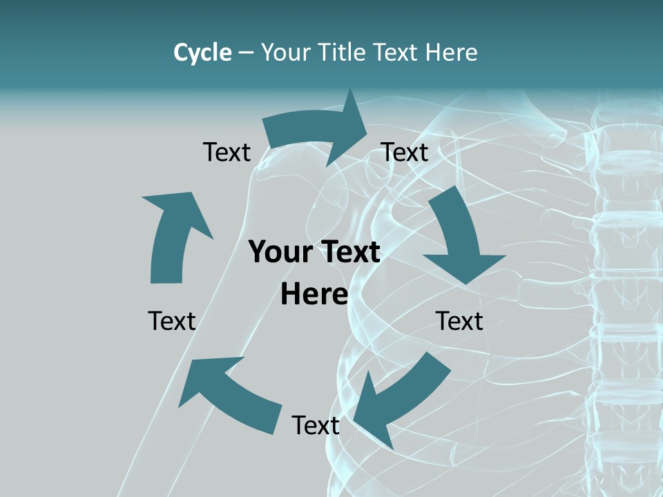 3D Shoulder PowerPoint Template