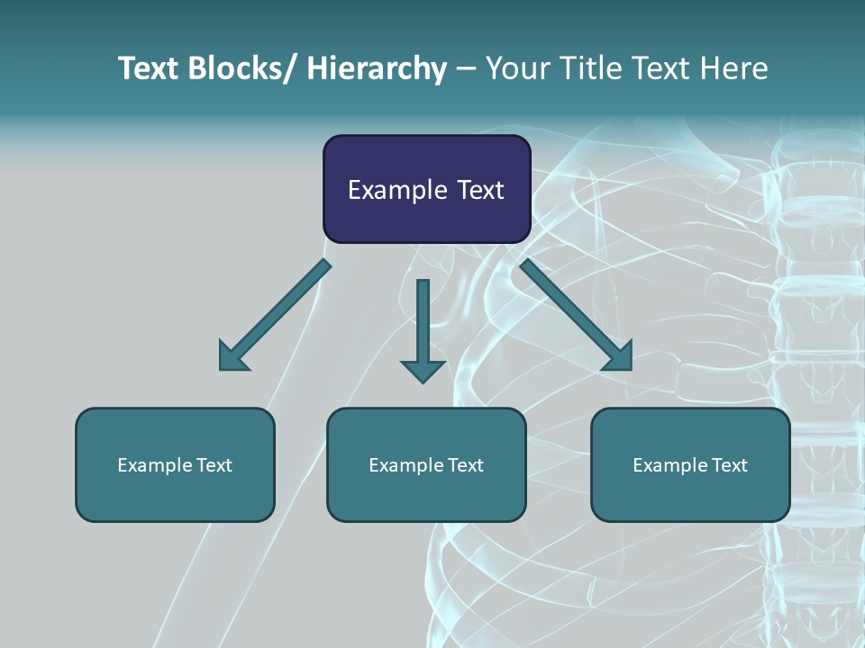 3D Shoulder PowerPoint Template