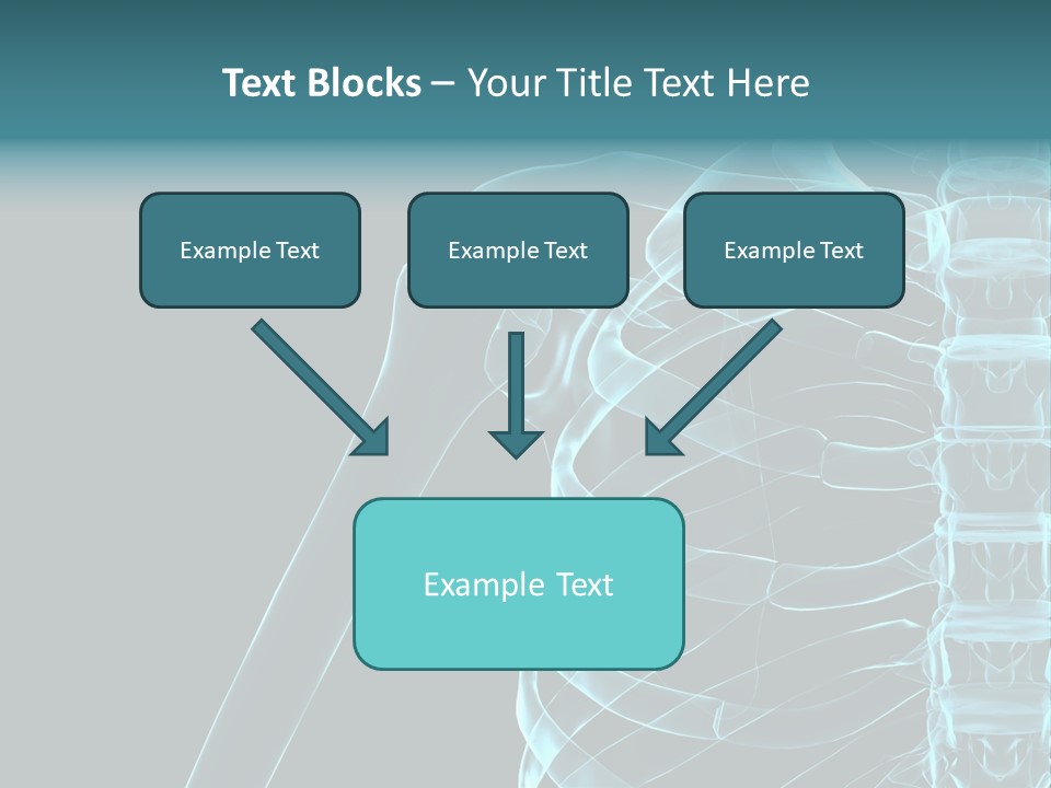 3D Shoulder PowerPoint Template