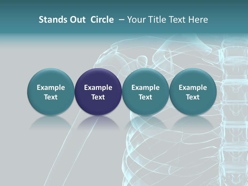 3D Shoulder PowerPoint Template