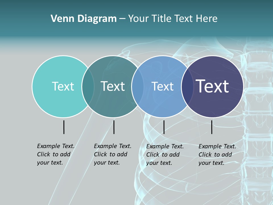 3D Shoulder PowerPoint Template