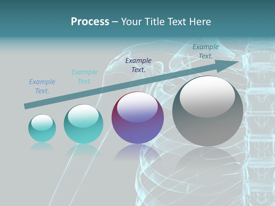 3D Shoulder PowerPoint Template