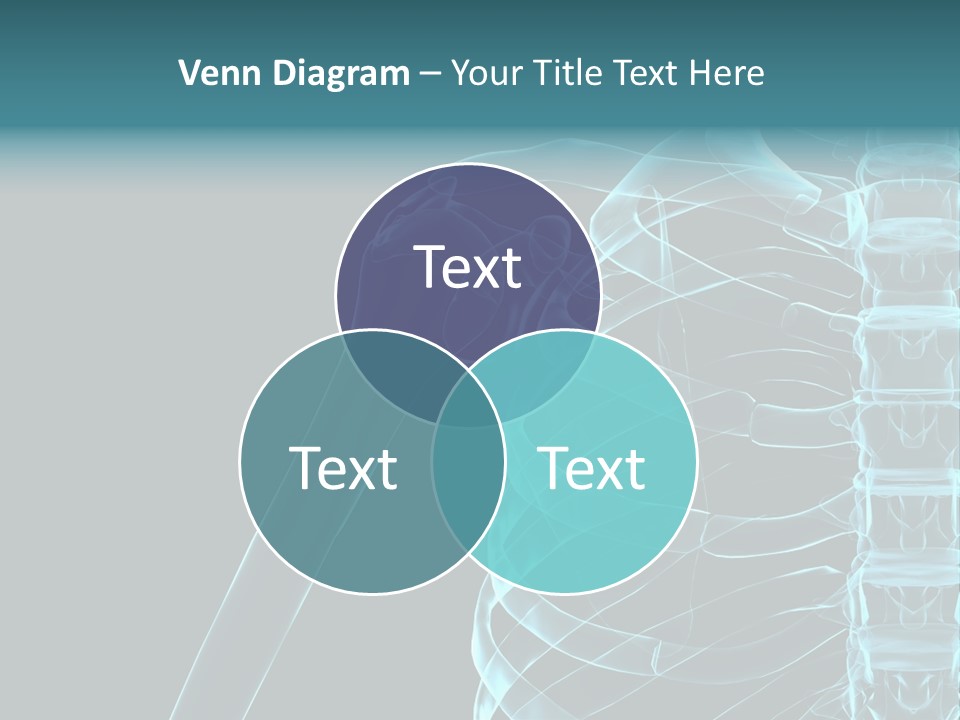 3D Shoulder PowerPoint Template