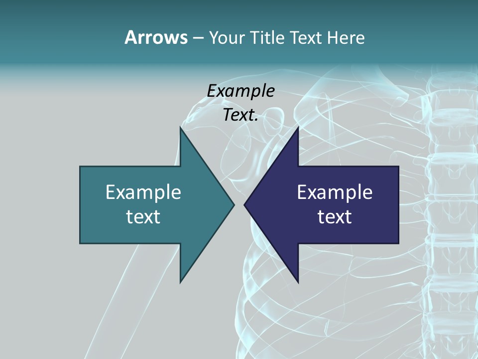 3D Shoulder PowerPoint Template