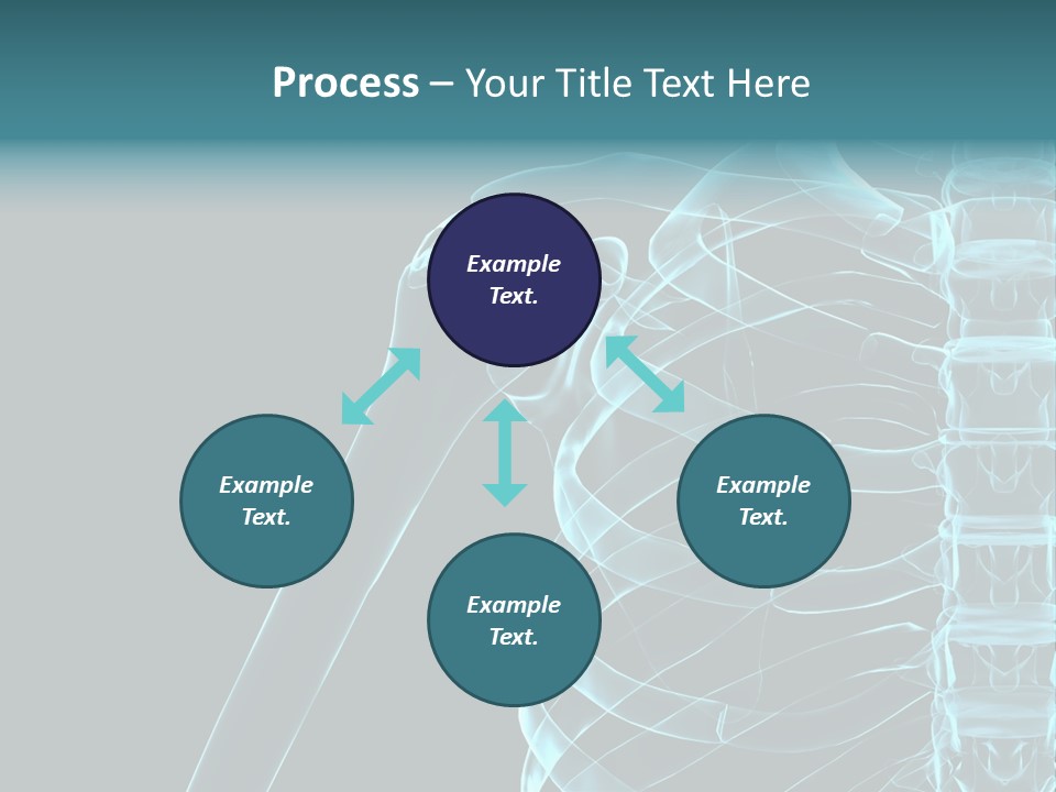 3D Shoulder PowerPoint Template