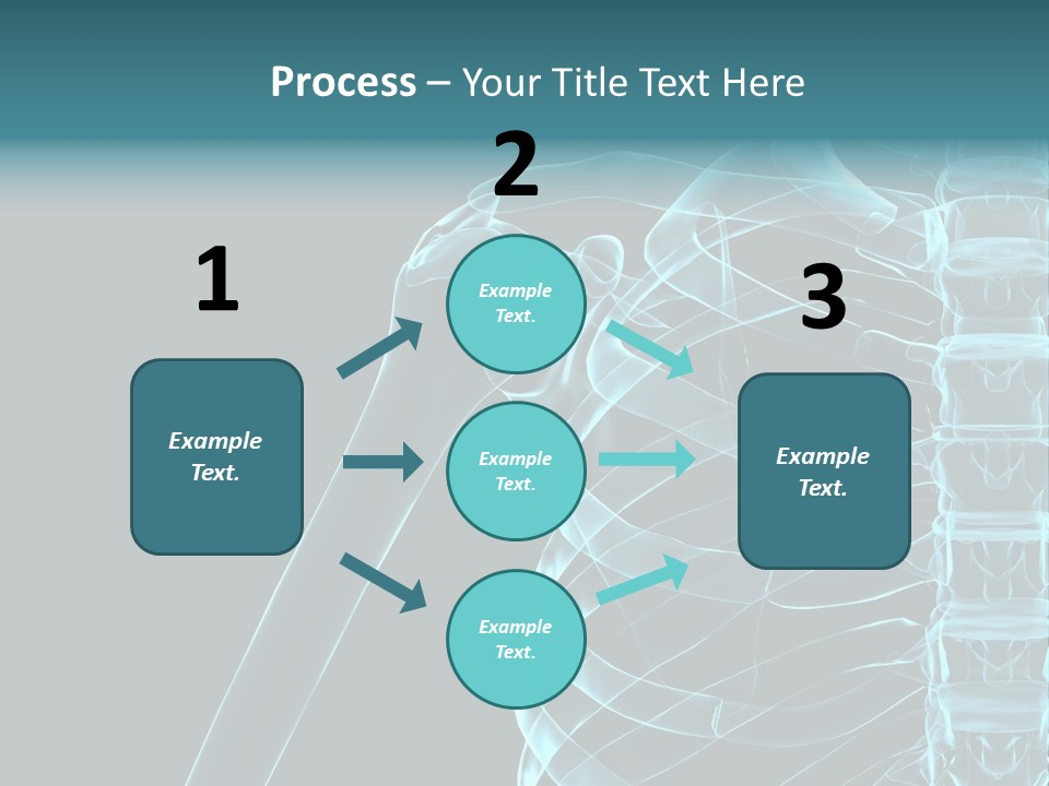 3D Shoulder PowerPoint Template