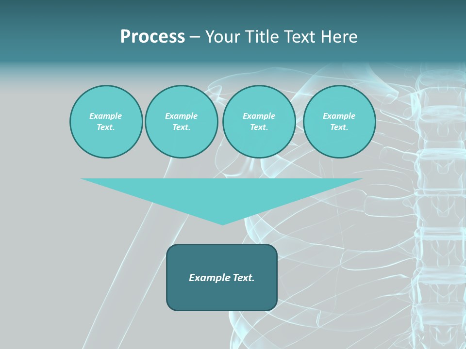 3D Shoulder PowerPoint Template
