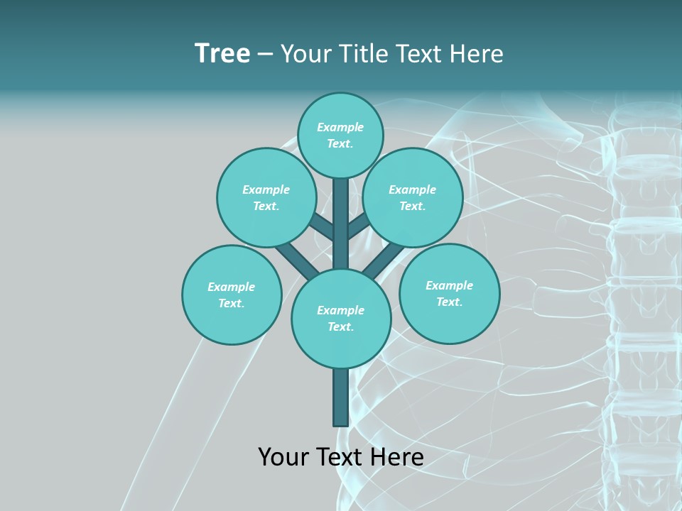 3D Shoulder PowerPoint Template