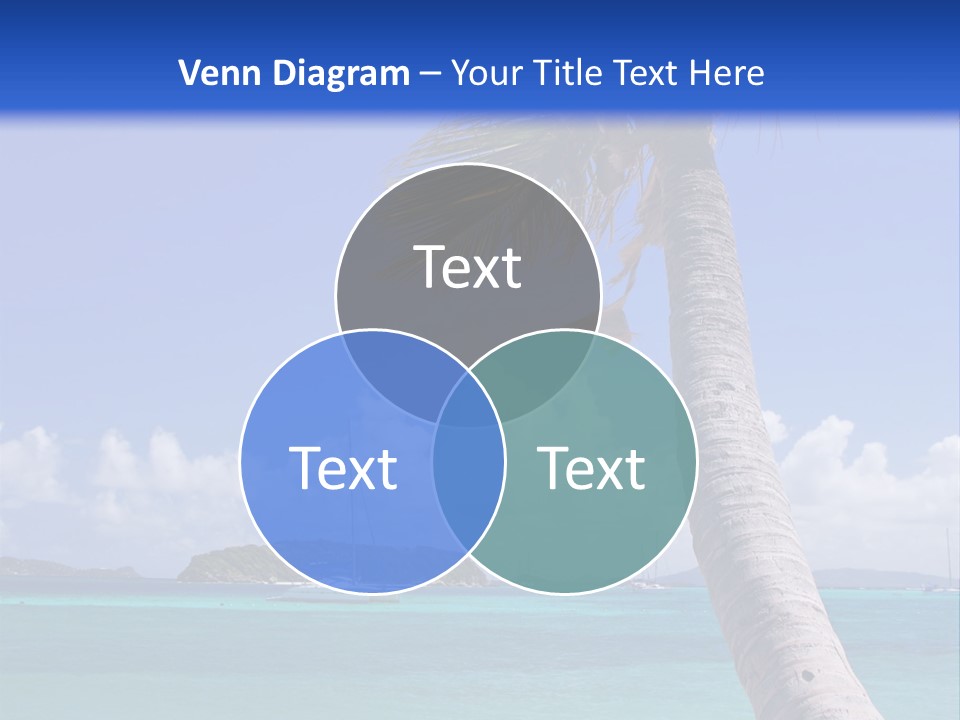 A Palm Tree Sitting On Top Of A Sandy Beach PowerPoint Template