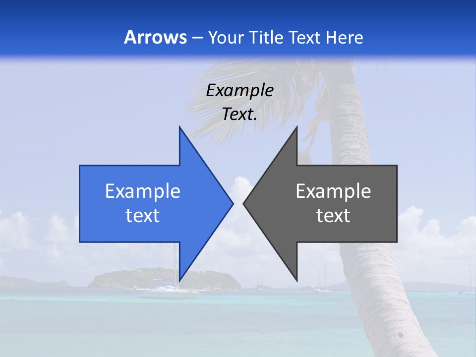 A Palm Tree Sitting On Top Of A Sandy Beach PowerPoint Template