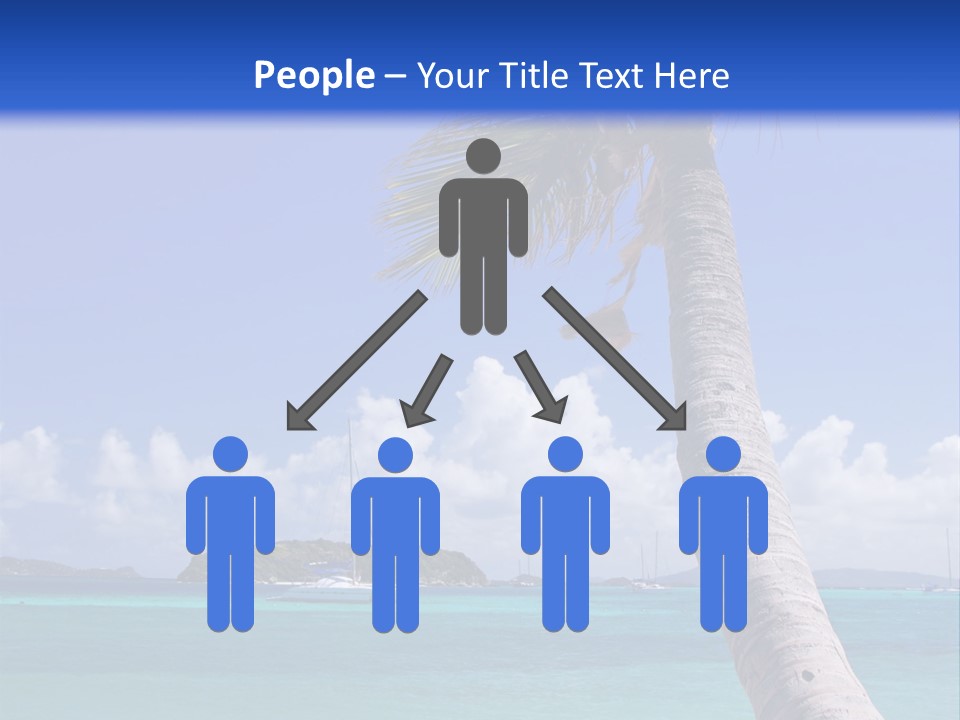 A Palm Tree Sitting On Top Of A Sandy Beach PowerPoint Template