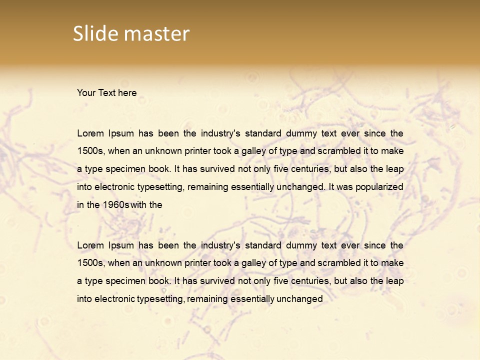 Microscope Photo Of Anthrax (Bacillus Anthracis). Focus=Left Center. 14Mp Camera, Microscope At 45X. PowerPoint Template