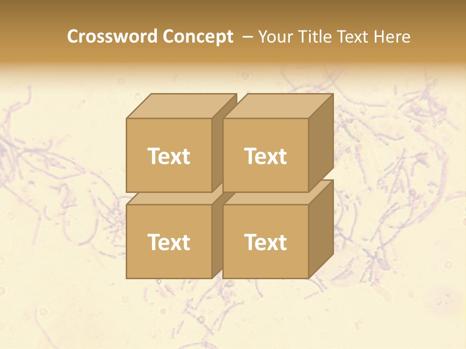 Microscope Photo Of Anthrax (Bacillus Anthracis). Focus=Left Center. 14Mp Camera, Microscope At 45X. PowerPoint Template