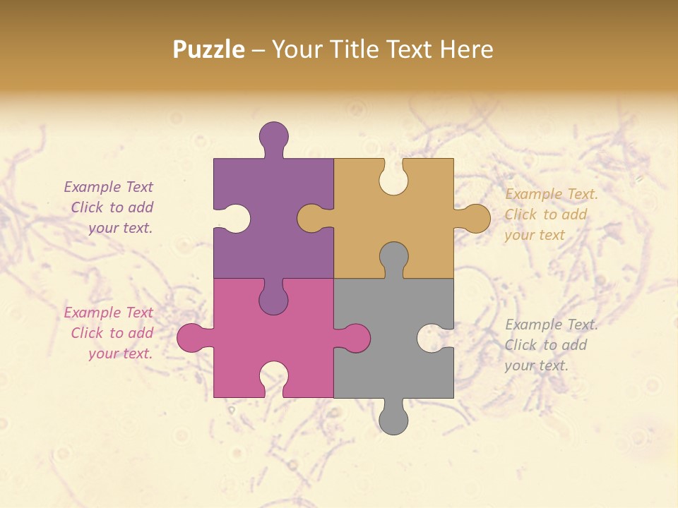 Microscope Photo Of Anthrax (Bacillus Anthracis). Focus=Left Center. 14Mp Camera, Microscope At 45X. PowerPoint Template