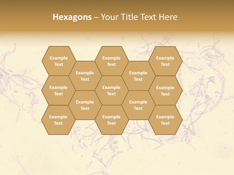Microscope Photo Of Anthrax (Bacillus Anthracis). Focus=Left Center. 14Mp Camera, Microscope At 45X. PowerPoint Template