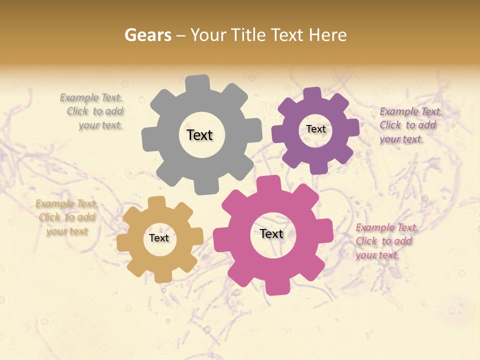 Microscope Photo Of Anthrax (Bacillus Anthracis). Focus=Left Center. 14Mp Camera, Microscope At 45X. PowerPoint Template
