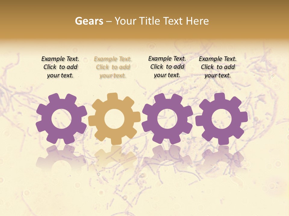 Microscope Photo Of Anthrax (Bacillus Anthracis). Focus=Left Center. 14Mp Camera, Microscope At 45X. PowerPoint Template
