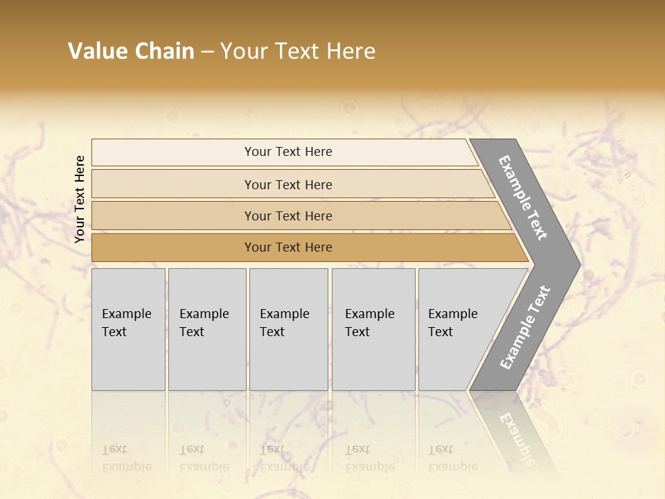 Microscope Photo Of Anthrax (Bacillus Anthracis). Focus=Left Center. 14Mp Camera, Microscope At 45X. PowerPoint Template