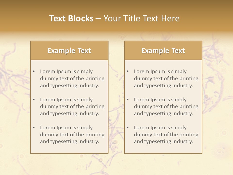 Microscope Photo Of Anthrax (Bacillus Anthracis). Focus=Left Center. 14Mp Camera, Microscope At 45X. PowerPoint Template
