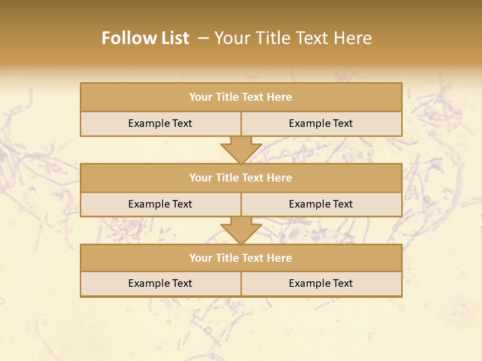 Microscope Photo Of Anthrax (Bacillus Anthracis). Focus=Left Center. 14Mp Camera, Microscope At 45X. PowerPoint Template