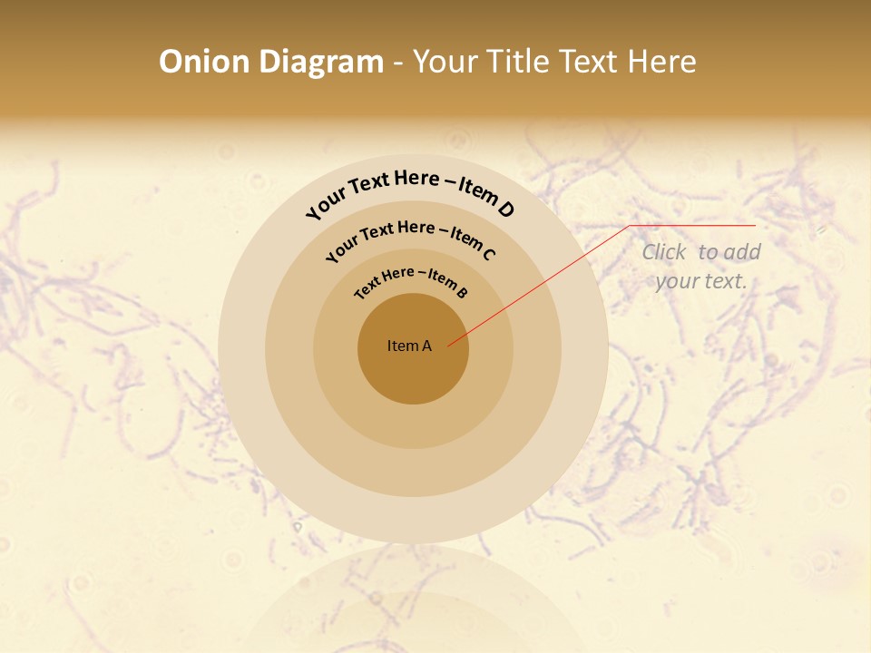 Microscope Photo Of Anthrax (Bacillus Anthracis). Focus=Left Center. 14Mp Camera, Microscope At 45X. PowerPoint Template