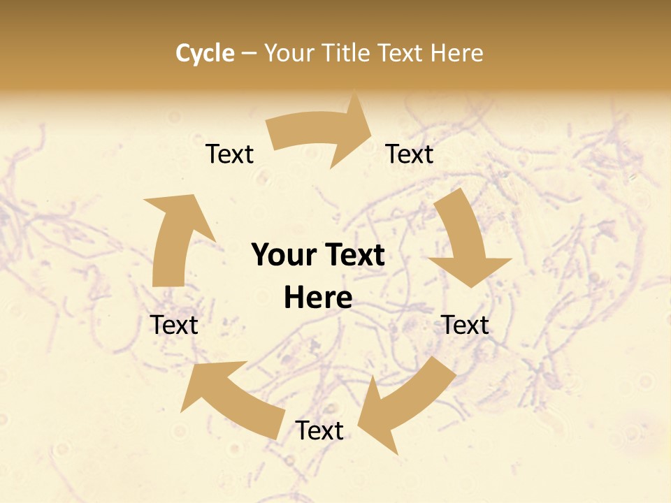Microscope Photo Of Anthrax (Bacillus Anthracis). Focus=Left Center. 14Mp Camera, Microscope At 45X. PowerPoint Template