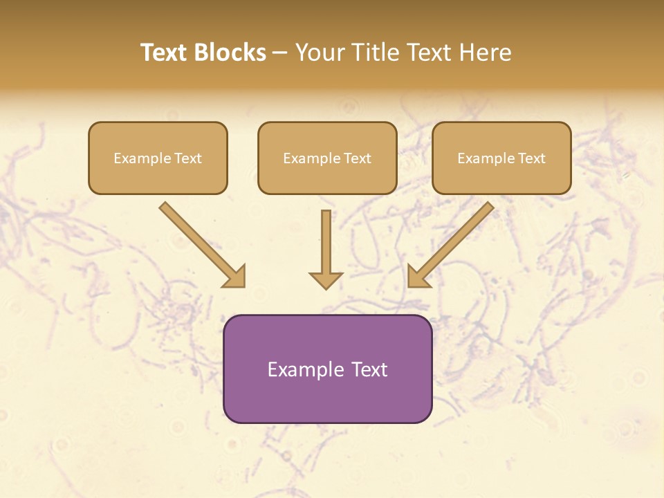 Microscope Photo Of Anthrax (Bacillus Anthracis). Focus=Left Center. 14Mp Camera, Microscope At 45X. PowerPoint Template