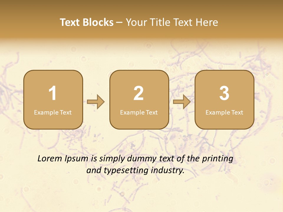 Microscope Photo Of Anthrax (Bacillus Anthracis). Focus=Left Center. 14Mp Camera, Microscope At 45X. PowerPoint Template