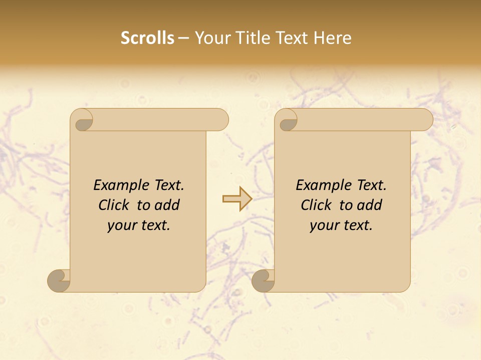 Microscope Photo Of Anthrax (Bacillus Anthracis). Focus=Left Center. 14Mp Camera, Microscope At 45X. PowerPoint Template