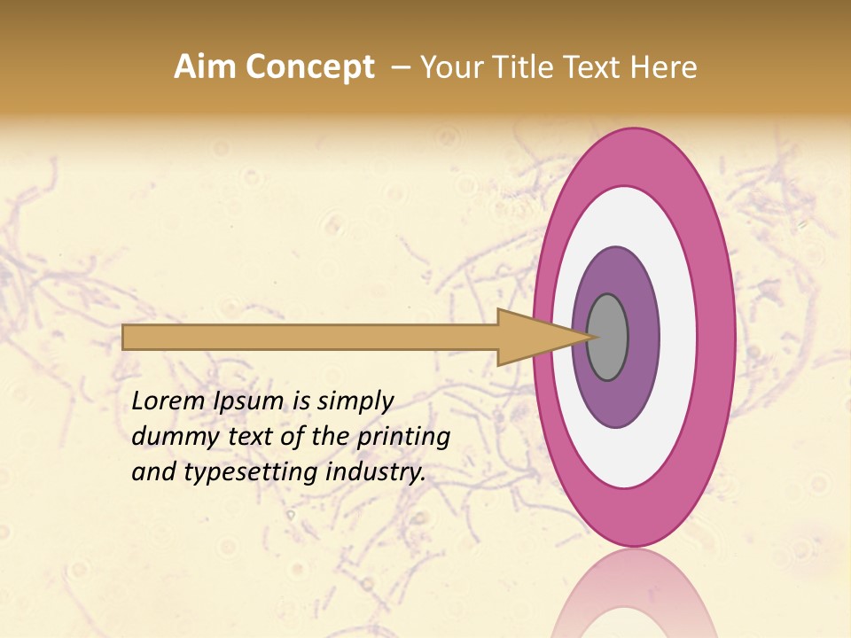 Microscope Photo Of Anthrax (Bacillus Anthracis). Focus=Left Center. 14Mp Camera, Microscope At 45X. PowerPoint Template