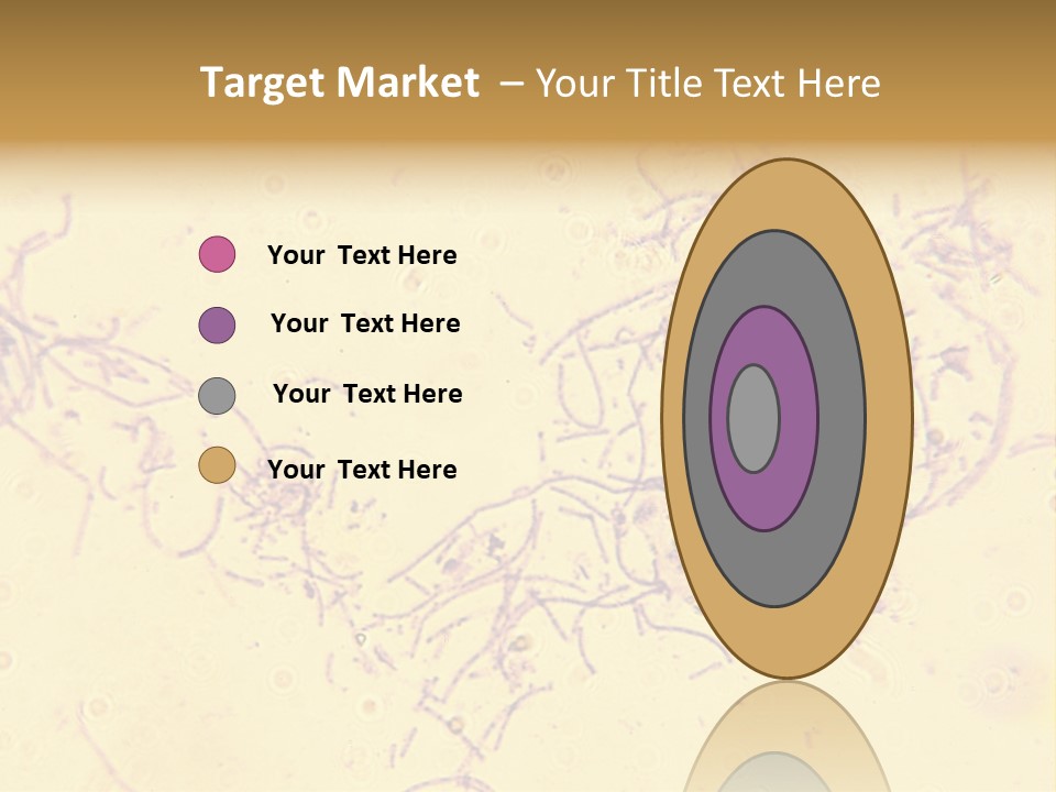 Microscope Photo Of Anthrax (Bacillus Anthracis). Focus=Left Center. 14Mp Camera, Microscope At 45X. PowerPoint Template