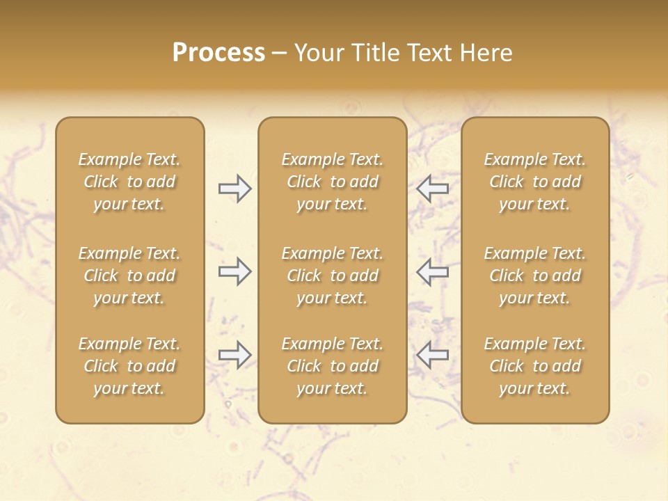 Microscope Photo Of Anthrax (Bacillus Anthracis). Focus=Left Center. 14Mp Camera, Microscope At 45X. PowerPoint Template