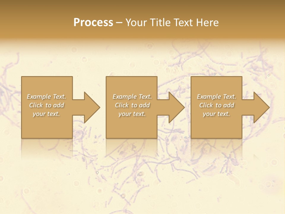 Microscope Photo Of Anthrax (Bacillus Anthracis). Focus=Left Center. 14Mp Camera, Microscope At 45X. PowerPoint Template