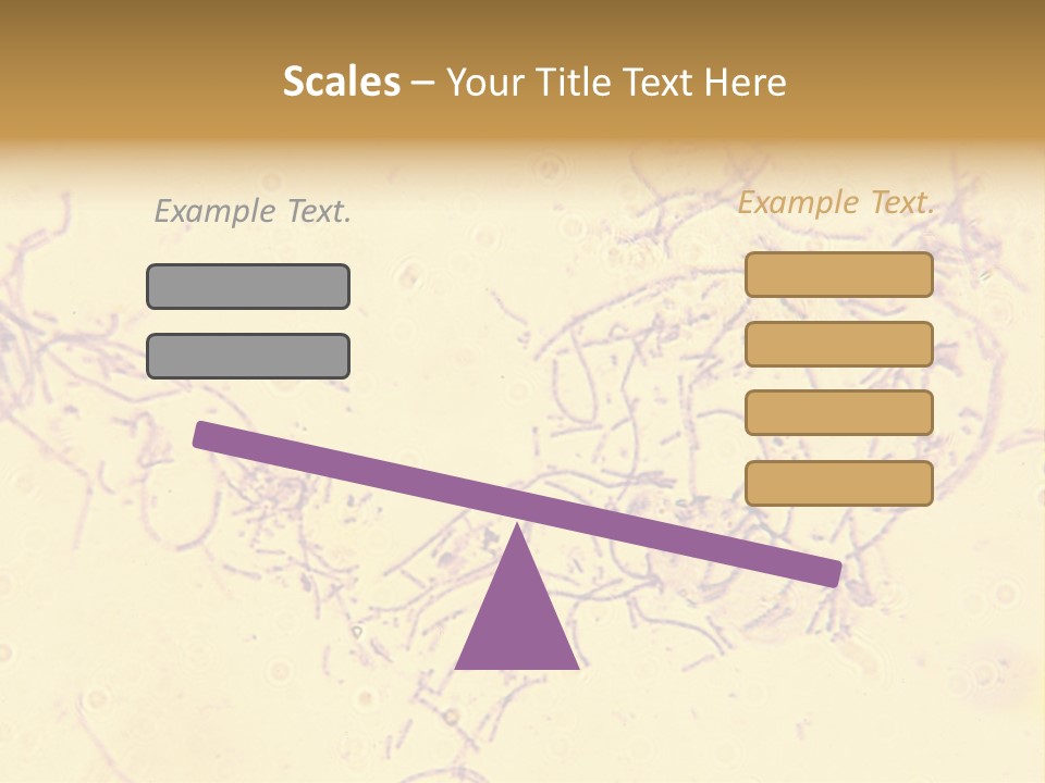 Microscope Photo Of Anthrax (Bacillus Anthracis). Focus=Left Center. 14Mp Camera, Microscope At 45X. PowerPoint Template