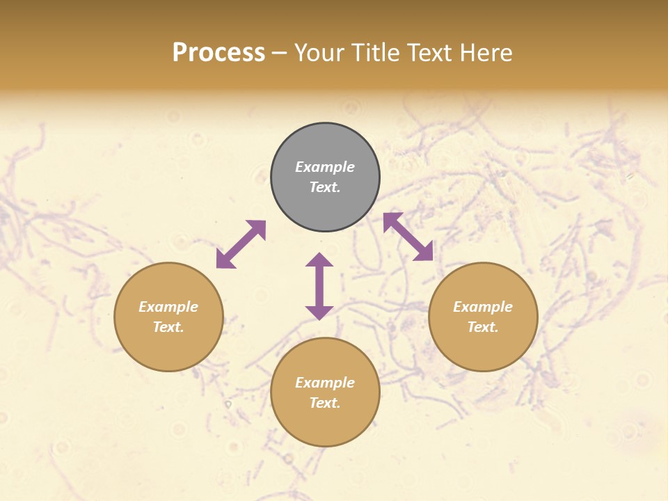 Microscope Photo Of Anthrax (Bacillus Anthracis). Focus=Left Center. 14Mp Camera, Microscope At 45X. PowerPoint Template