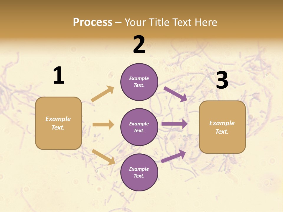 Microscope Photo Of Anthrax (Bacillus Anthracis). Focus=Left Center. 14Mp Camera, Microscope At 45X. PowerPoint Template