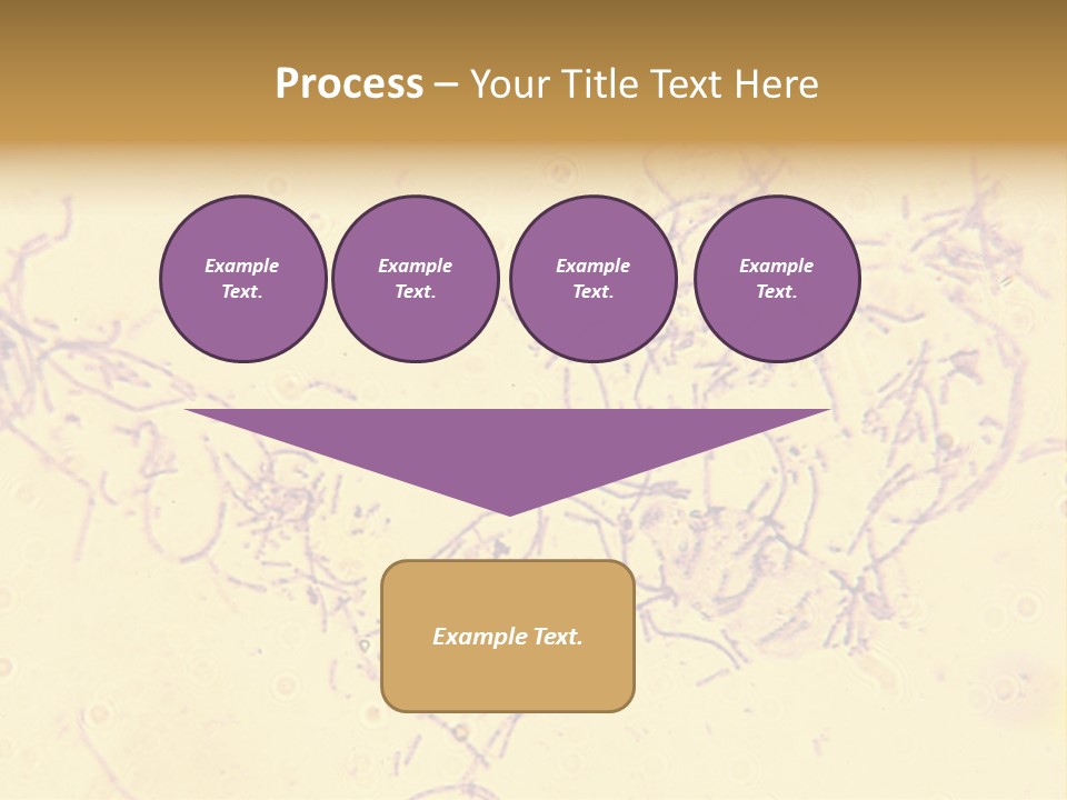 Microscope Photo Of Anthrax (Bacillus Anthracis). Focus=Left Center. 14Mp Camera, Microscope At 45X. PowerPoint Template