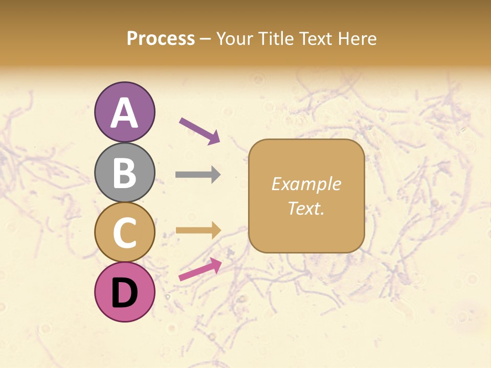 Microscope Photo Of Anthrax (Bacillus Anthracis). Focus=Left Center. 14Mp Camera, Microscope At 45X. PowerPoint Template