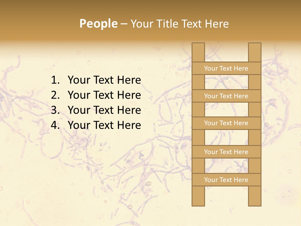 Microscope Photo Of Anthrax (Bacillus Anthracis). Focus=Left Center. 14Mp Camera, Microscope At 45X. PowerPoint Template