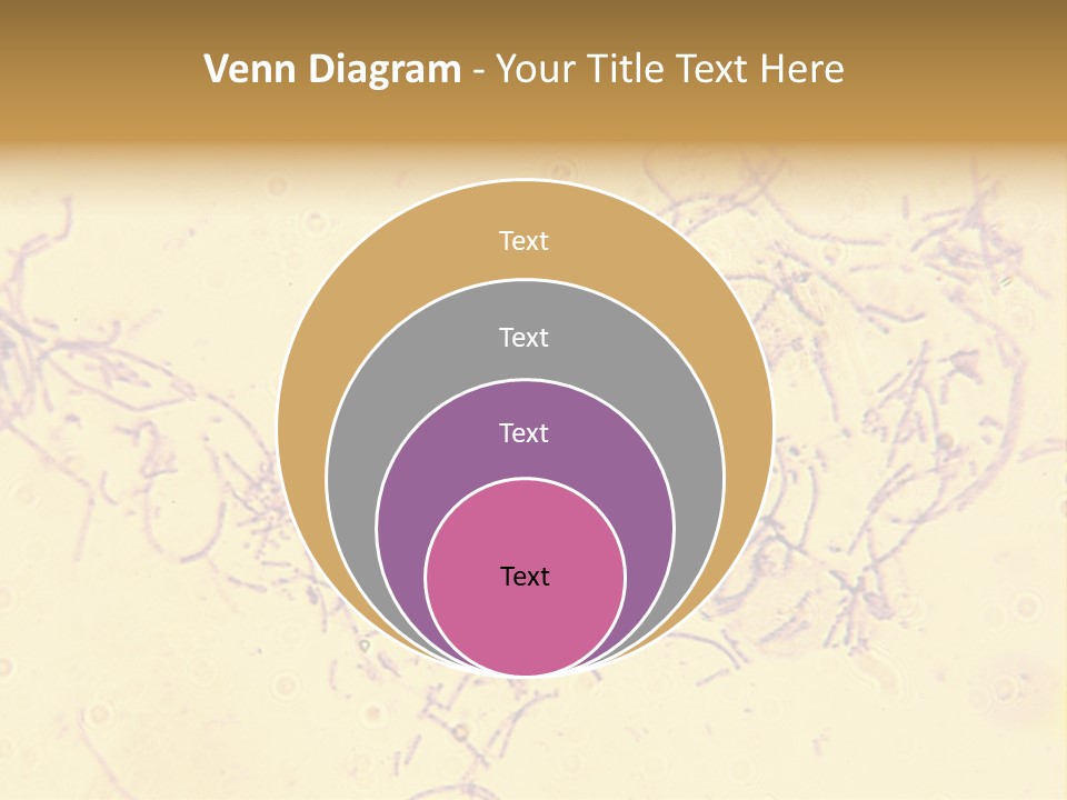 Microscope Photo Of Anthrax (Bacillus Anthracis). Focus=Left Center. 14Mp Camera, Microscope At 45X. PowerPoint Template