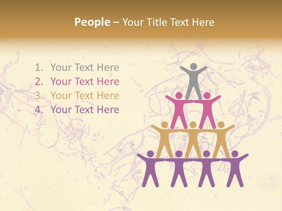 Microscope Photo Of Anthrax (Bacillus Anthracis). Focus=Left Center. 14Mp Camera, Microscope At 45X. PowerPoint Template