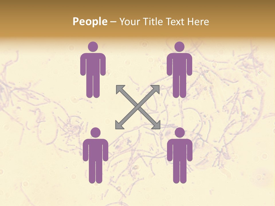 Microscope Photo Of Anthrax (Bacillus Anthracis). Focus=Left Center. 14Mp Camera, Microscope At 45X. PowerPoint Template