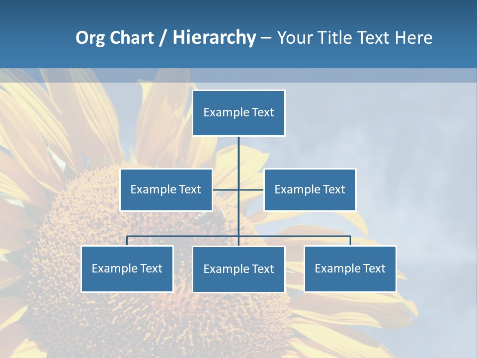 Happy Older Man Flexing During His Fitness Routine; Isolated On White PowerPoint Template